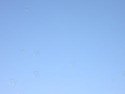 ʹ�����������������������������