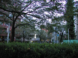 ʹ���������������һƬ��ڵ�ԭ��